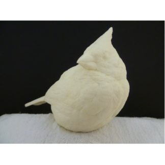 Cardinal, Winter - bob Guge study cast