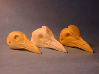 COOT #253 reference cast heads
