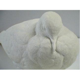 Dove, Mourning bob Guge study cast