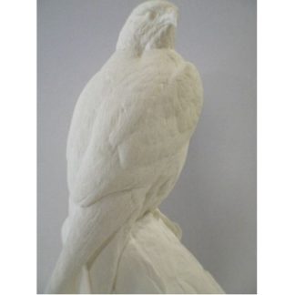 Falcon, Perigine (1/3 scale), bob Guge study cast, out of stock with no date for restocking