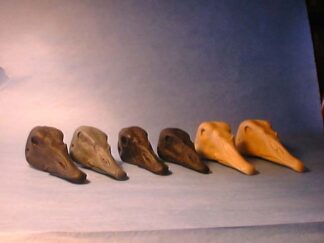 GOOSE CANADA DUSKY study cast