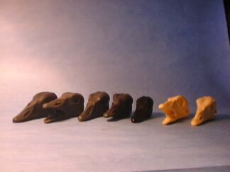 GOOSE CANADA CACKLER study cast