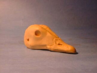 GOOSE EMPEROR study cast