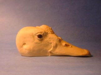 GOOSE SPURWING W/EYES study cast
