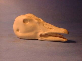 GOOSE SNOW OPEN MOUTH #100-A