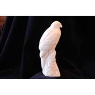 Hawk,Goss - Bob Guge study cast