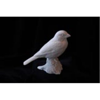 Grosebeak, Rose-Breasted - Bob Guge study cast