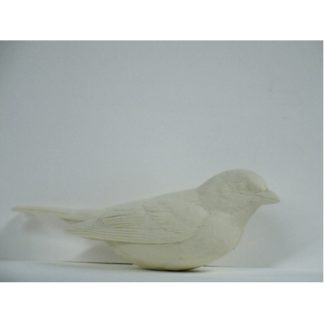 Tanager, Scarlet- Bob Guge study cast