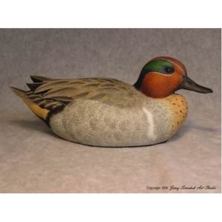 Green-winged Teal Drake, Jerry Simchuk Study Cast