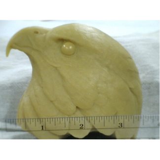 Hawk, Red Tail- Head study by R. Martin study cast