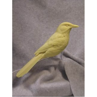 Scrub Jay Cast, Jerry Simchuk study cast