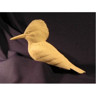 Kingfisher, Belted Jerry Simchuk study cast