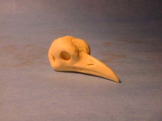 LILAC BRESTED ROLLER study cast