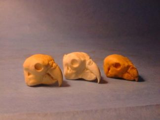 LORI study cast