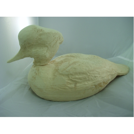 Smew, Head-up Tupelo Roughout Hen