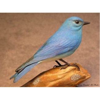 Bluebird, Mountain Male, Jerry Simchuk study cast