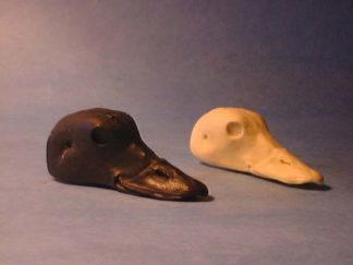 OLDSQUAW HEN study cast