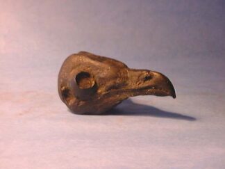 OWL BARN study cast #328.