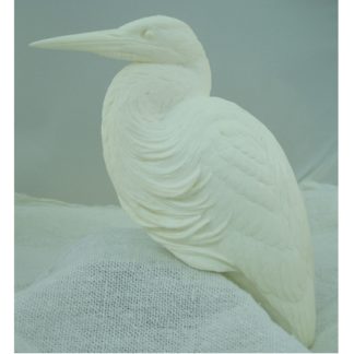 Heron, Gr. Blue , bob Guge study cast