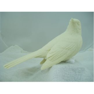 Mocking Bird Northern 2/3 size- Bob Guge study cast
