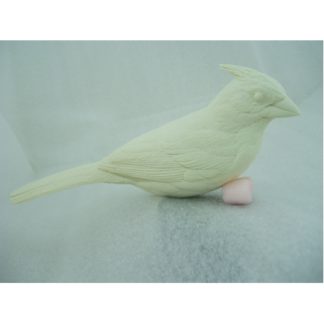 Cardinal, Summer - bob Guge study cast
