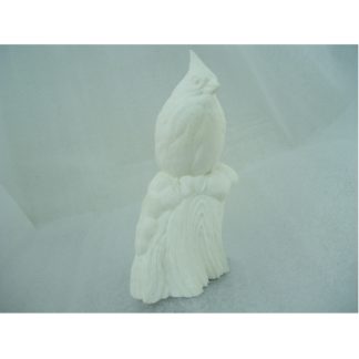 Cardinal, on Stump - bob Guge study cast
