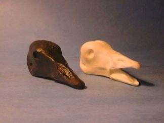 BRANT, PACIFIC BLACK study cast #152