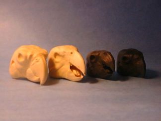 PARROTT, AFRICAN GREY O/M #597 reference cast heads