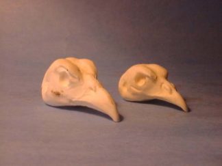 PHEASANT CHEER study cast