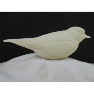 Plover Semi-palmated , bob Guge study cast