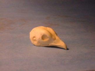 PTARMIGAN WHITETAIL study cast