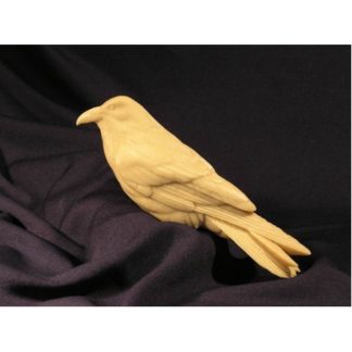 Raven, Common (1/3 life size), Jerry Simchuk study cast