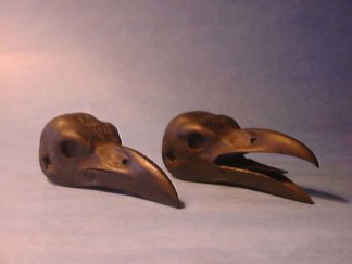 RAVEN study cast