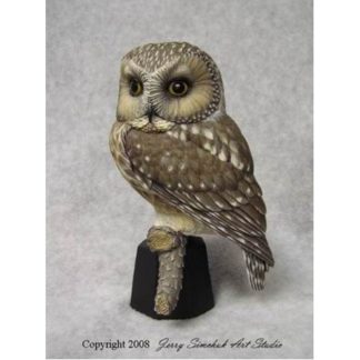 Owl, Saw-whet, Jerry Simchuk study cast "NO BASE"