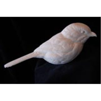 Shrike, Loggerhead- Bob Guge study cast