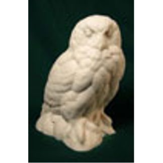 Owl, Snowy (1/3 scale) - Bob Guge study cast