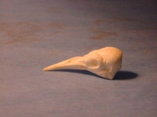 STARLING study cast
