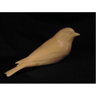 Tanager, Western Female, Jerry Simchuk study cast