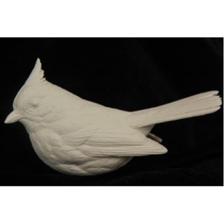 Titmouse - Tufted- Bob Guge study cast