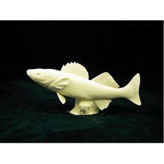 Walleye Fish by Josh Guge, Study Cast