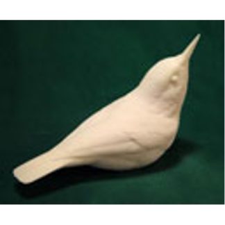 Nuthatch, White-breasted , bob Guge study cast