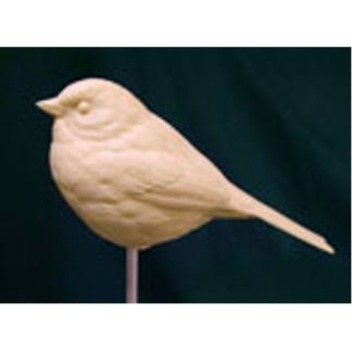 Sparrow, White-Throated , bob Guge study cast