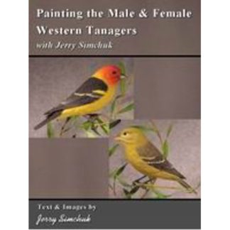 Painting the Male & Female Western Tanagers