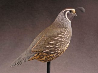KIT-Quail California, Tupelo WOOD CARVING KIT, Jerry Simchuk