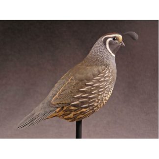 Quail, California Study Cast , Jerry Simchuk study cast