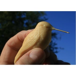Hummingbird by R. Martin study cast