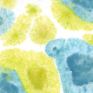 Crystaltex Glazes - LEAD FREE - Pepermint , CTL-10 1 Pint Liquid