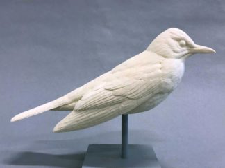Robin, American - Bob Guge study cast