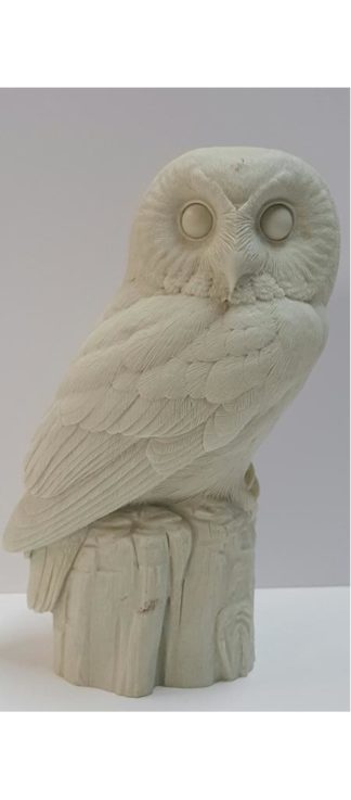 Owl, Saw-Whet (2/3 scale) - Bob Guge study cast