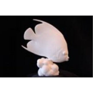Angle Fish, French by Josh Guge, Study Cast